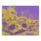 Purple &#x26; Gold Mask Canvas Wall Art